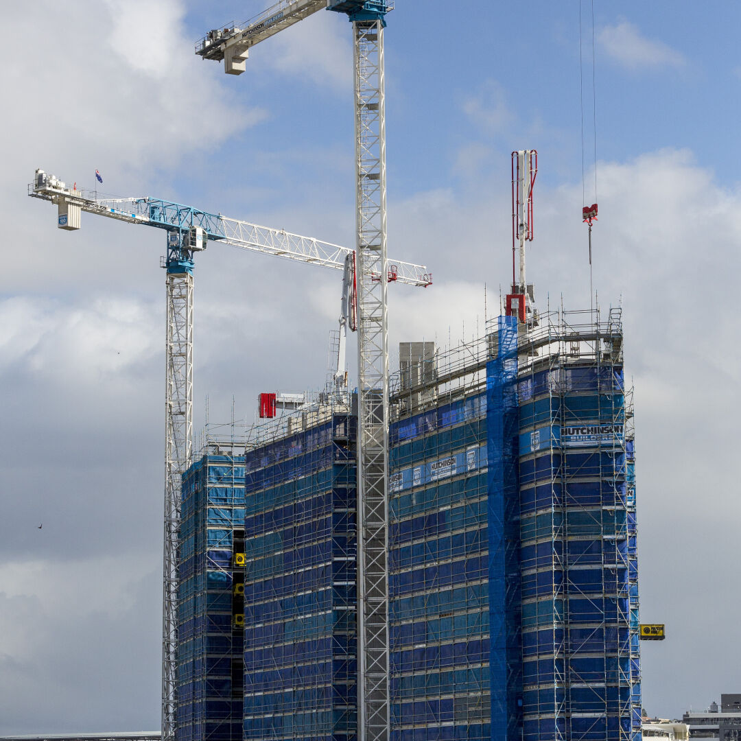 Scaffold & Plant