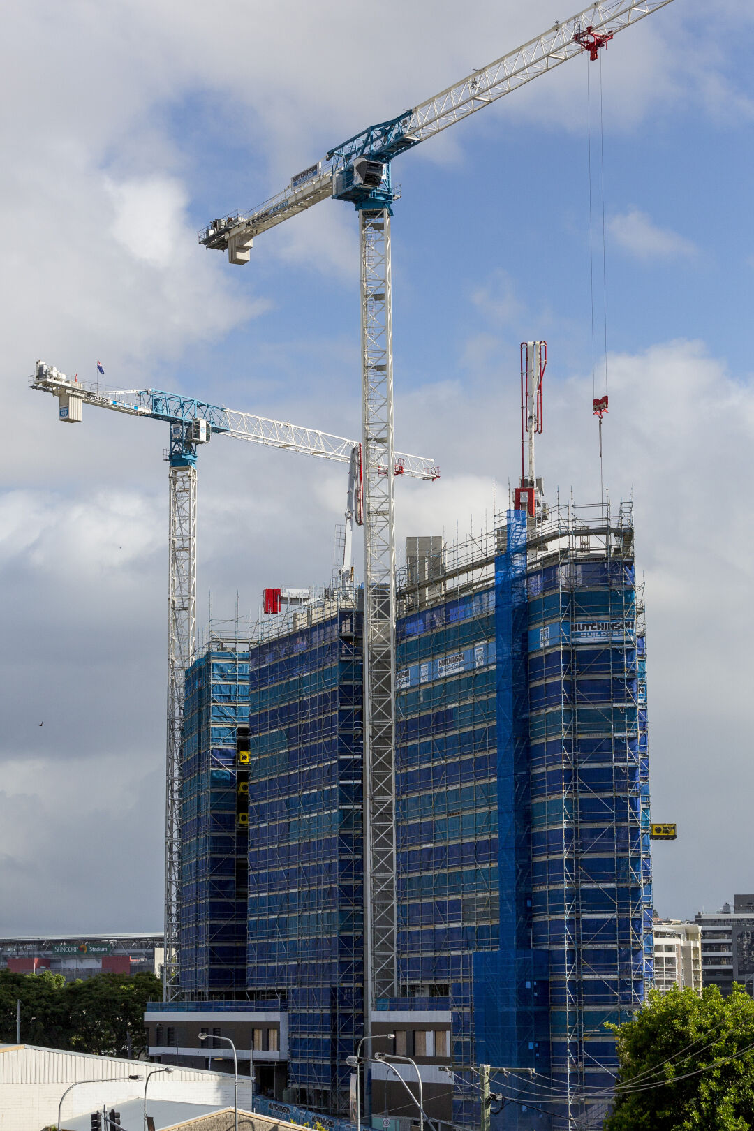 Scaffold & Plant