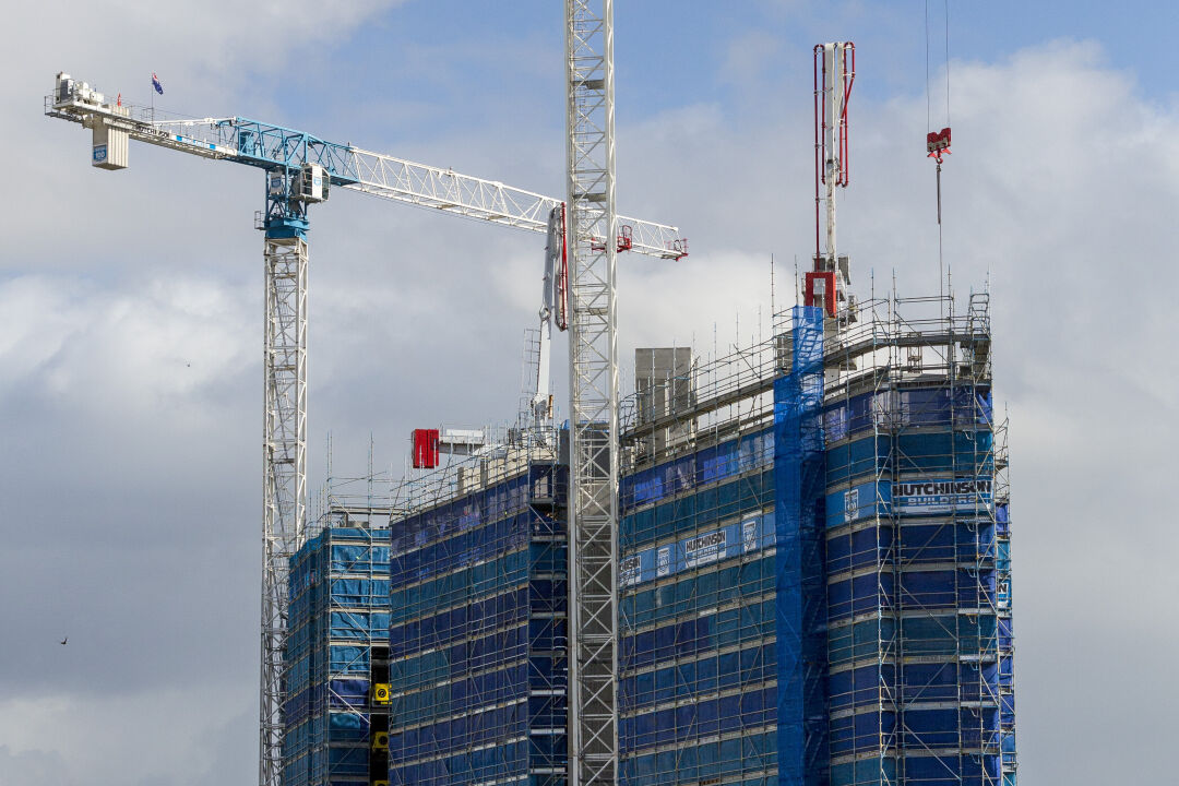 Scaffold & Plant