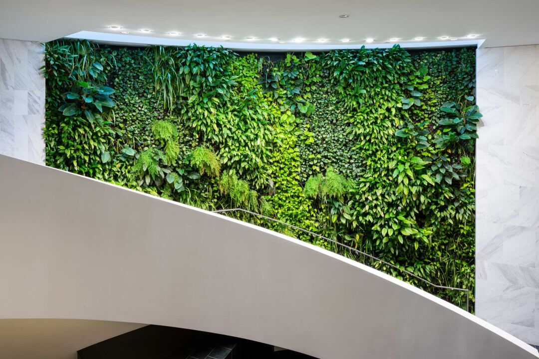 Hutchies' Green Star experience