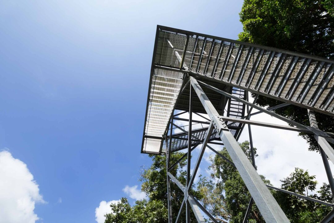 Mamu Tropical Skywalk