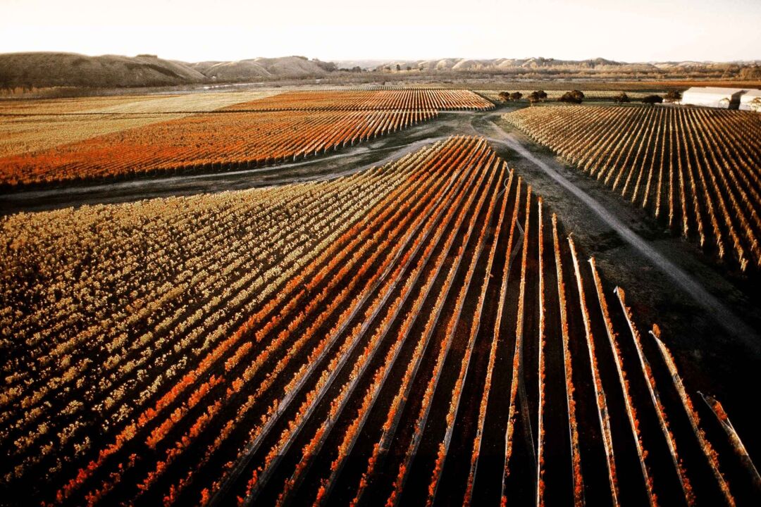 Craggy Range Winery