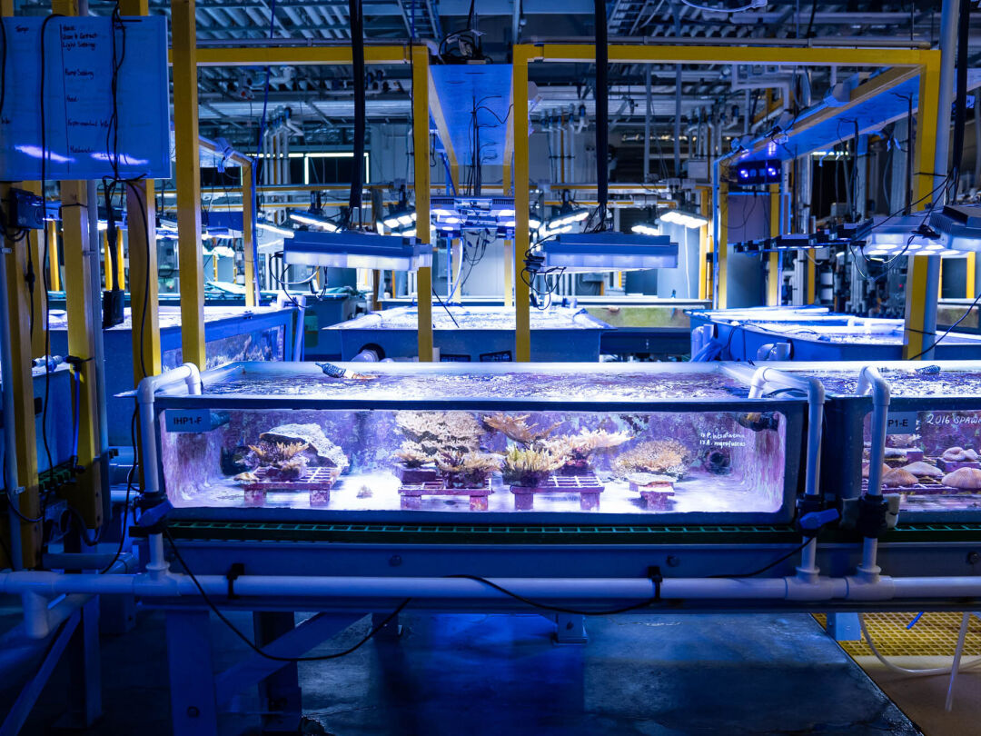 Australian Institute of Marine Science (AIMS) SeaSim Expansion