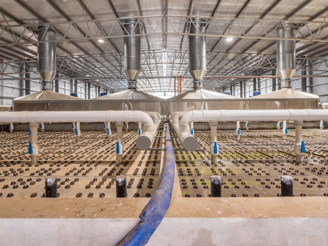 MainStream Aquaculture Fish Farm Expansion