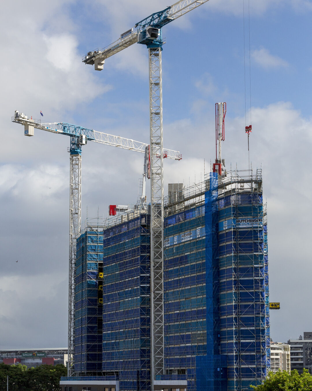 Scaffold & Plant