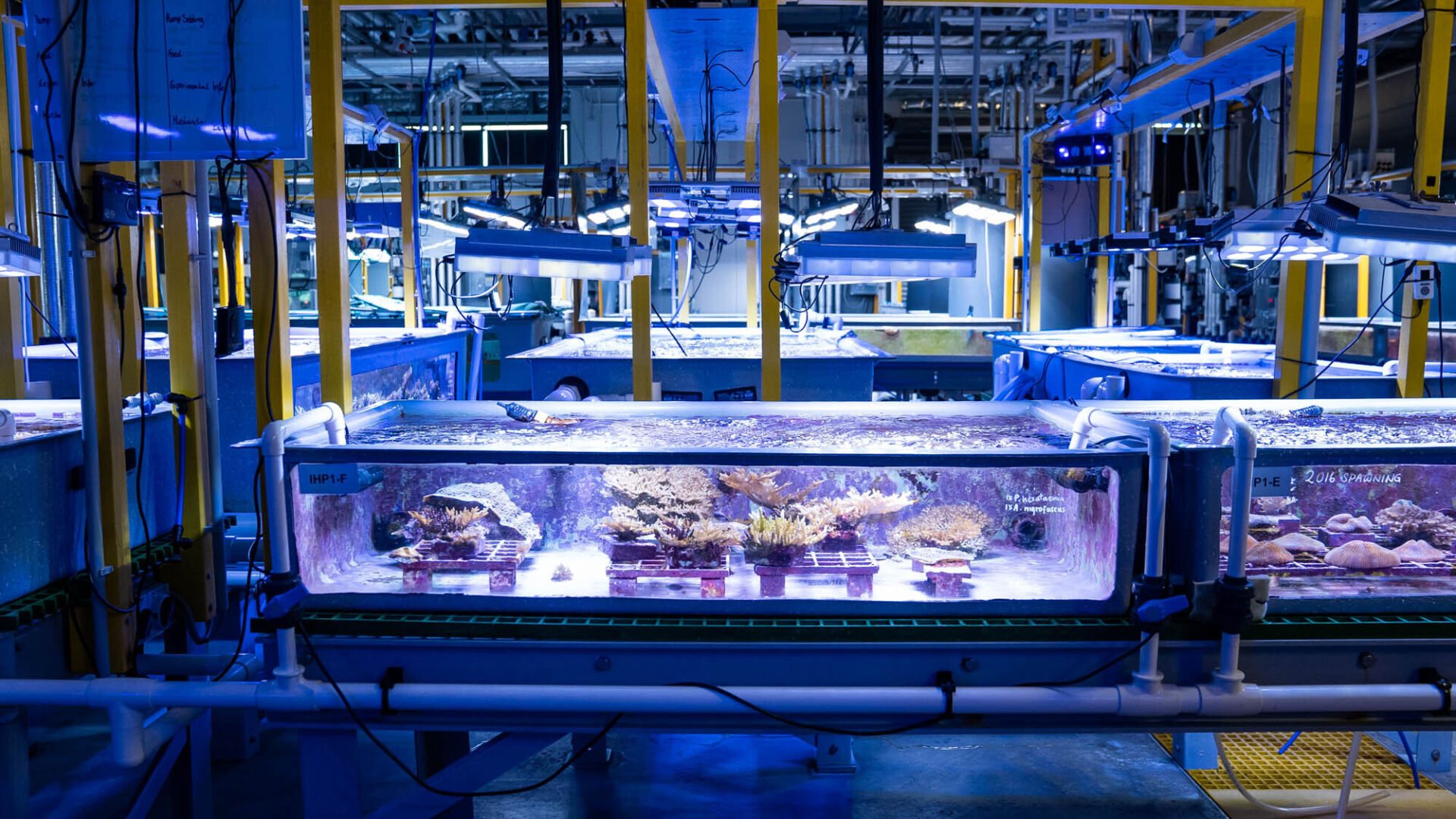 Australian Institute of Marine Science (AIMS) SeaSim Expansion