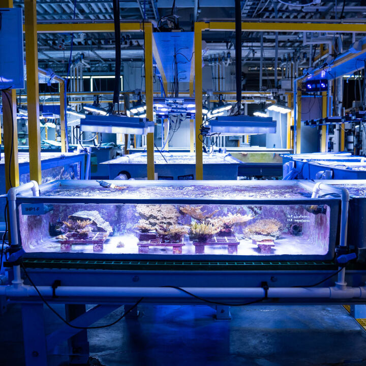 Australian Institute of Marine Science (AIMS) SeaSim Expansion